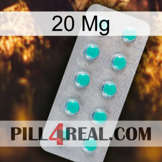 20Mg 28